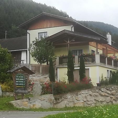 Ferienwohnung Am Bauernhof Zechner Heidi 弗拉塔克 外观 照片
