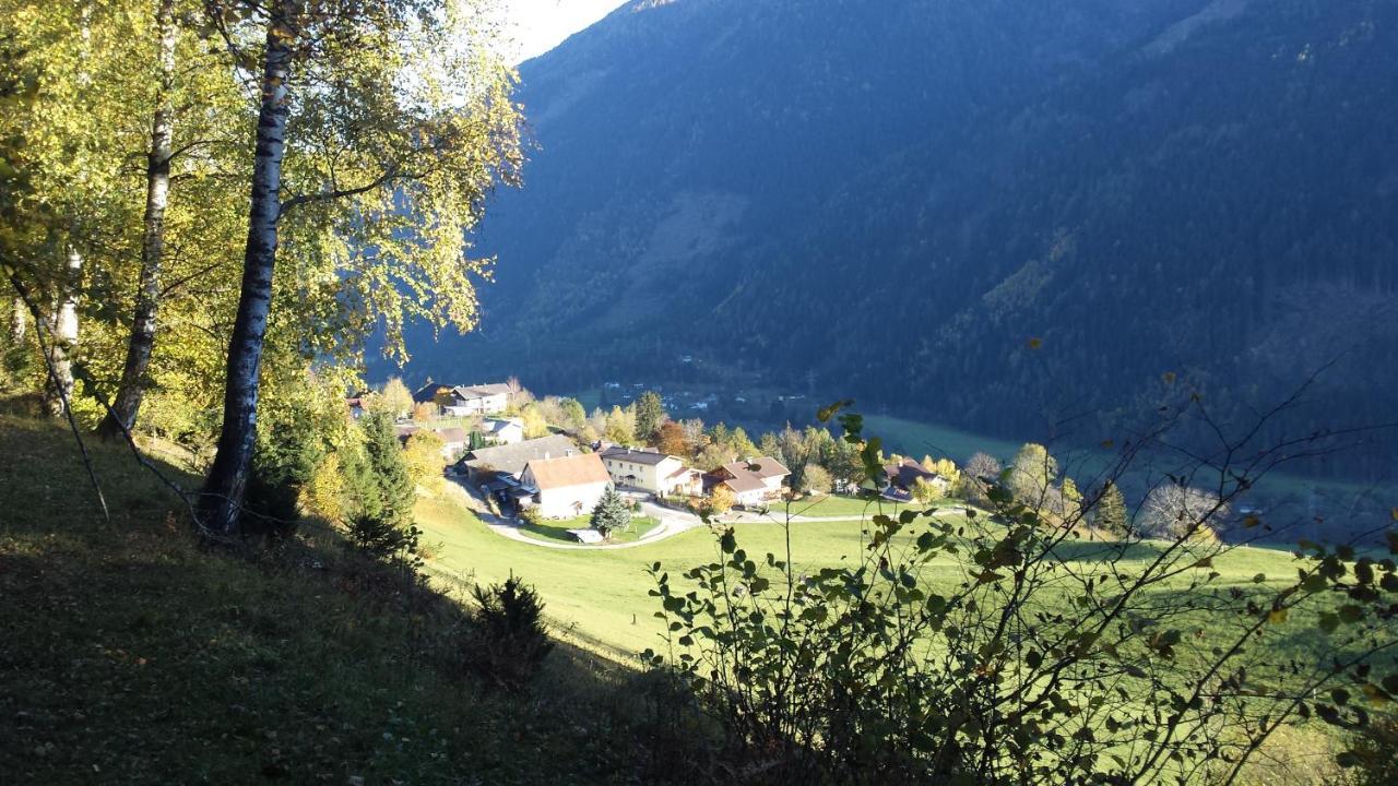 Ferienwohnung Am Bauernhof Zechner Heidi 弗拉塔克 外观 照片